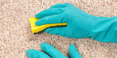 Gecci Carpet Cleaning